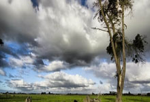 卢旺达国际板球旅游节7月到9月在卢旺达首都基加利举办，卢旺达体育场