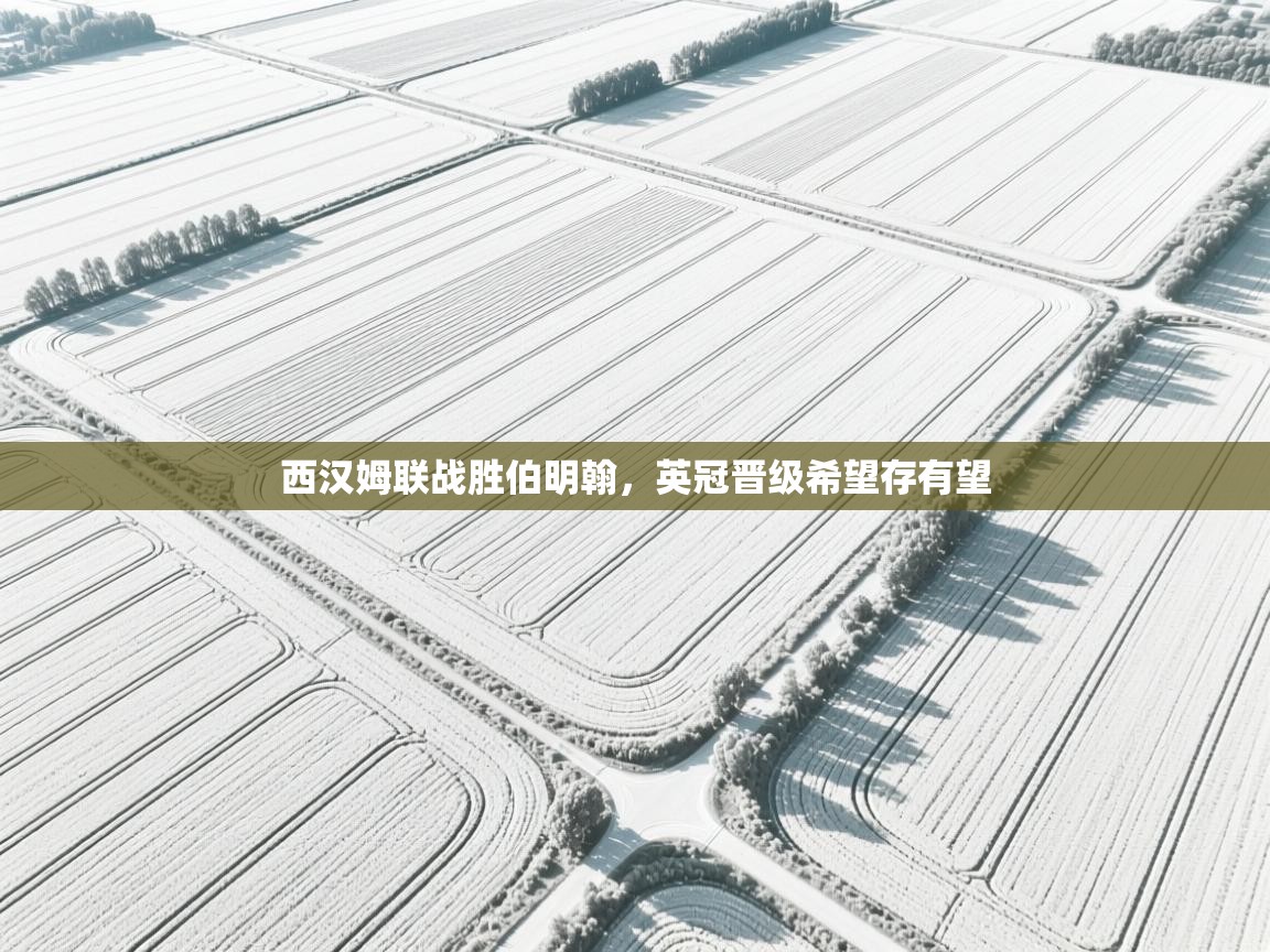 西汉姆联战胜伯明翰，英冠晋级希望存有望  第1张