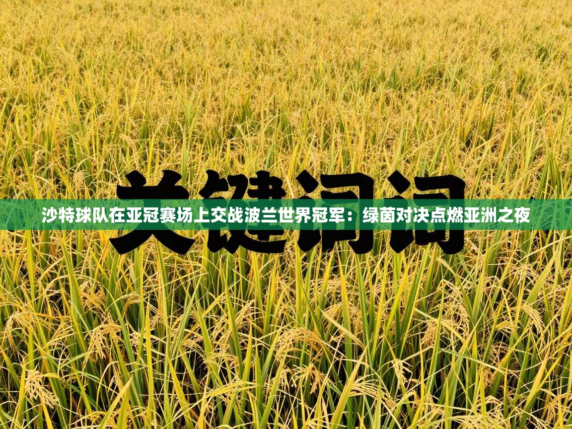 沙特球队在亚冠赛场上交战波兰世界冠军：绿茵对决点燃亚洲之夜  第2张